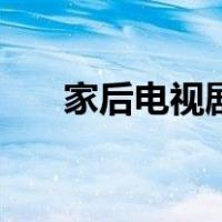 家后电视剧（关于家后电视剧的介绍）