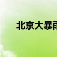北京大暴雨（关于北京大暴雨的介绍）