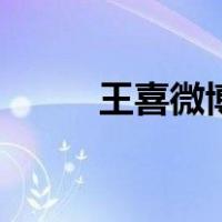 王喜微博（关于王喜微博的介绍）