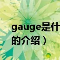 gauge是什么意思（关于gauge是什么意思的介绍）