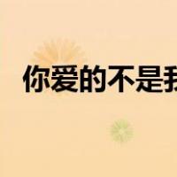 你爱的不是我（关于你爱的不是我的介绍）