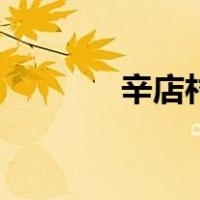辛店村（关于辛店村的介绍）