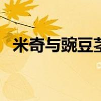 米奇与豌豆茎（关于米奇与豌豆茎的介绍）