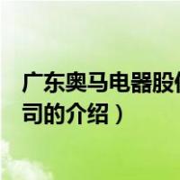 广东奥马电器股份有限公司（关于广东奥马电器股份有限公司的介绍）