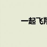 一起飞翔（关于一起飞翔的介绍）