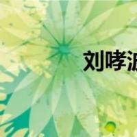 刘哮波（关于刘哮波的介绍）