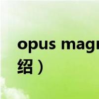 opus magnum（关于opus magnum的介绍）