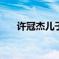 许冠杰儿子（关于许冠杰儿子的介绍）