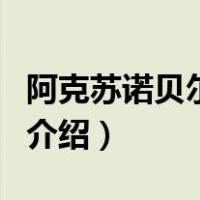 阿克苏诺贝尔油漆（关于阿克苏诺贝尔油漆的介绍）