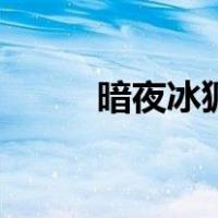 暗夜冰狐（关于暗夜冰狐的介绍）