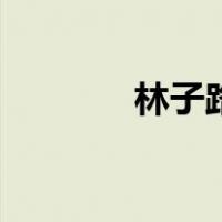 林子路（关于林子路的介绍）