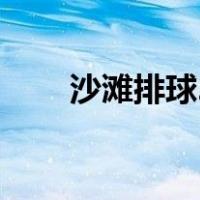 沙滩排球2（关于沙滩排球2的介绍）