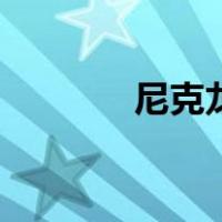 尼克龙（关于尼克龙的介绍）