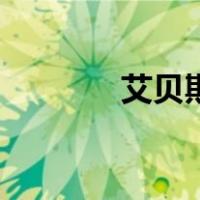艾贝斯（关于艾贝斯的介绍）