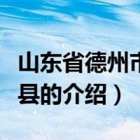 山东省德州市宁津县（关于山东省德州市宁津县的介绍）