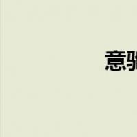 意驰（关于意驰的介绍）