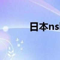 日本nsk（关于日本nsk的介绍）