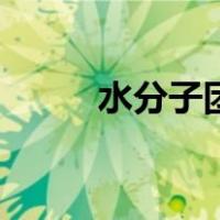 水分子团（关于水分子团的介绍）