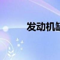 发动机缸（关于发动机缸的介绍）