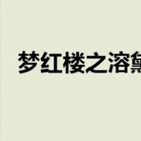 梦红楼之溶黛（关于梦红楼之溶黛的介绍）