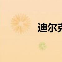 迪尔克（关于迪尔克的介绍）