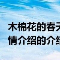 木棉花的春天剧情介绍（关于木棉花的春天剧情介绍的介绍）