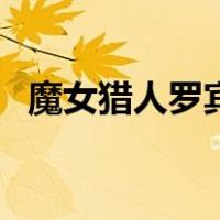 魔女猎人罗宾（关于魔女猎人罗宾的介绍）