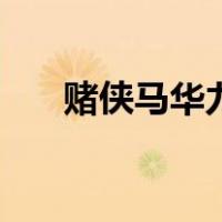 赌侠马华力（关于赌侠马华力的介绍）