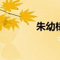 朱幼棣（关于朱幼棣的介绍）
