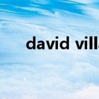 david villa（关于david villa的介绍）