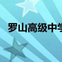 罗山高级中学（关于罗山高级中学的介绍）