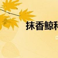 抹香鲸科（关于抹香鲸科的介绍）