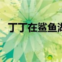 丁丁在鲨鱼湖（关于丁丁在鲨鱼湖的介绍）