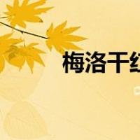 梅洛干红（关于梅洛干红的介绍）