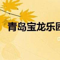 青岛宝龙乐园（关于青岛宝龙乐园的介绍）