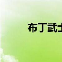 布丁武士（关于布丁武士的介绍）