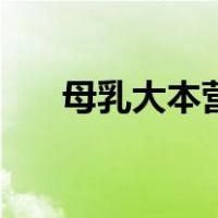 母乳大本营（关于母乳大本营的介绍）