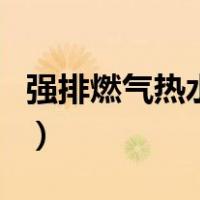 强排燃气热水器（关于强排燃气热水器的介绍）