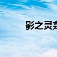 影之灵龛（关于影之灵龛的介绍）