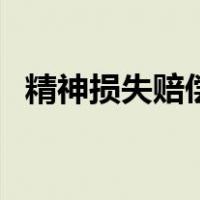 精神损失赔偿（关于精神损失赔偿的介绍）