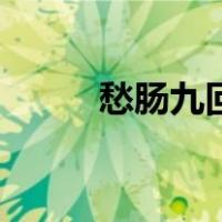 愁肠九回（关于愁肠九回的介绍）