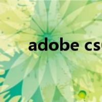 adobe cs6（关于adobe cs6的介绍）