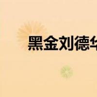 黑金刘德华（关于黑金刘德华的介绍）