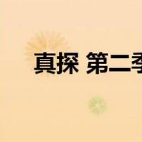 真探 第二季（关于真探 第二季的介绍）