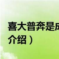 喜大普奔是成语吗（关于喜大普奔是成语吗的介绍）