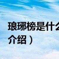 琅琊榜是什么朝代（关于琅琊榜是什么朝代的介绍）