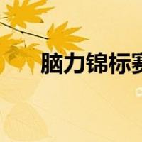 脑力锦标赛（关于脑力锦标赛的介绍）