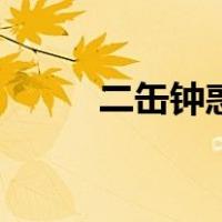 二缶钟惑（关于二缶钟惑的介绍）
