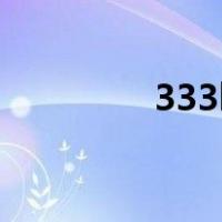 333k（关于333k的介绍）
