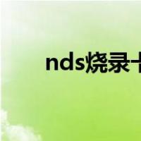 nds烧录卡（关于nds烧录卡的介绍）